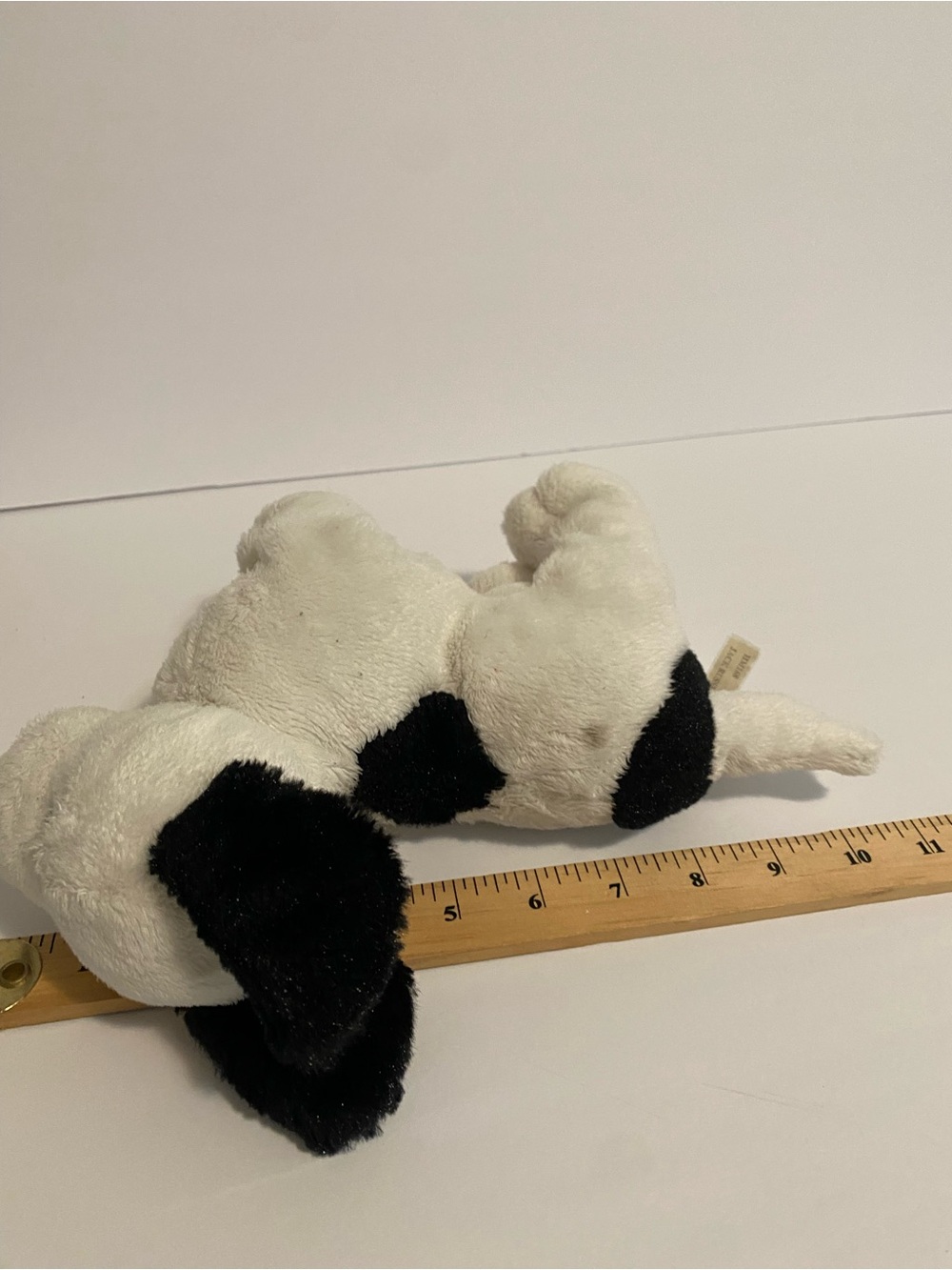 Ganz Webkinz Jack Russell Dog Plush Puppy Stuffed Animal No Code Toy - Picture 7 of 7